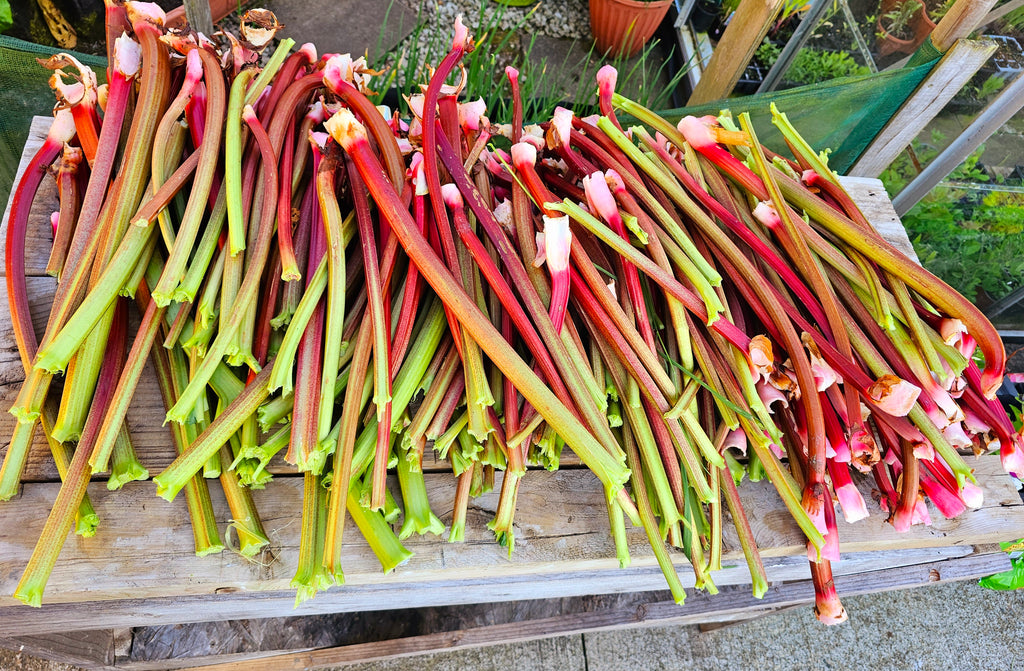 Homegrown produce