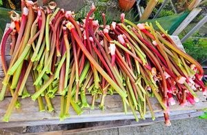 Homegrown produce